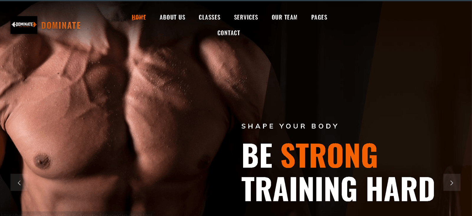 Dominate Brisbane website preview